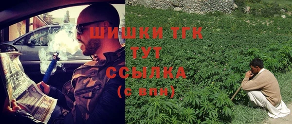 PSILOCYBIN Алексеевка