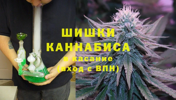 PSILOCYBIN Алексеевка