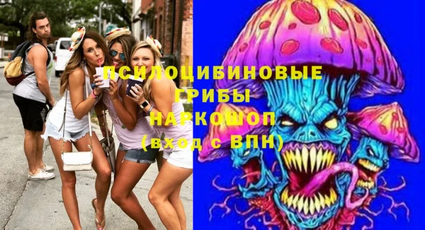 PSILOCYBIN Алексеевка
