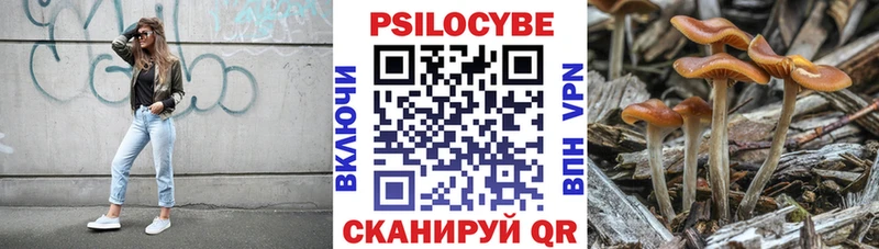 MEGA онион  Суровикино  Псилоцибиновые грибы Psilocybine cubensis 